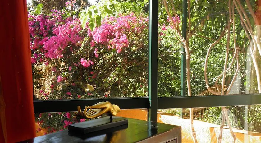 Alpino Atlantico Ayurveda Cure Centre Adults Only Ξενοδοχείο Caniço Πορτογαλία
