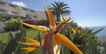 Alpino Atlantico Ayurveda Cure Centre Adults Only Ξενοδοχείο Caniço